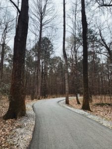 Wannamaker County Park trail