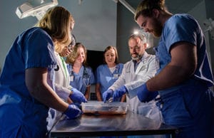 Physician Assistant students in CSU's cadaver lab looking at a container with a specimen.