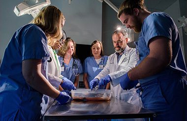 Physician Assistant students in CSU's cadaver lab looking at a container with a specimen.