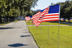 Veterans Day at CSU with flags along front of campus