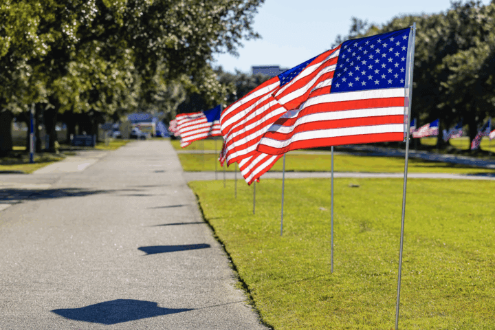 Veterans Day at CSU with flags along front of campus