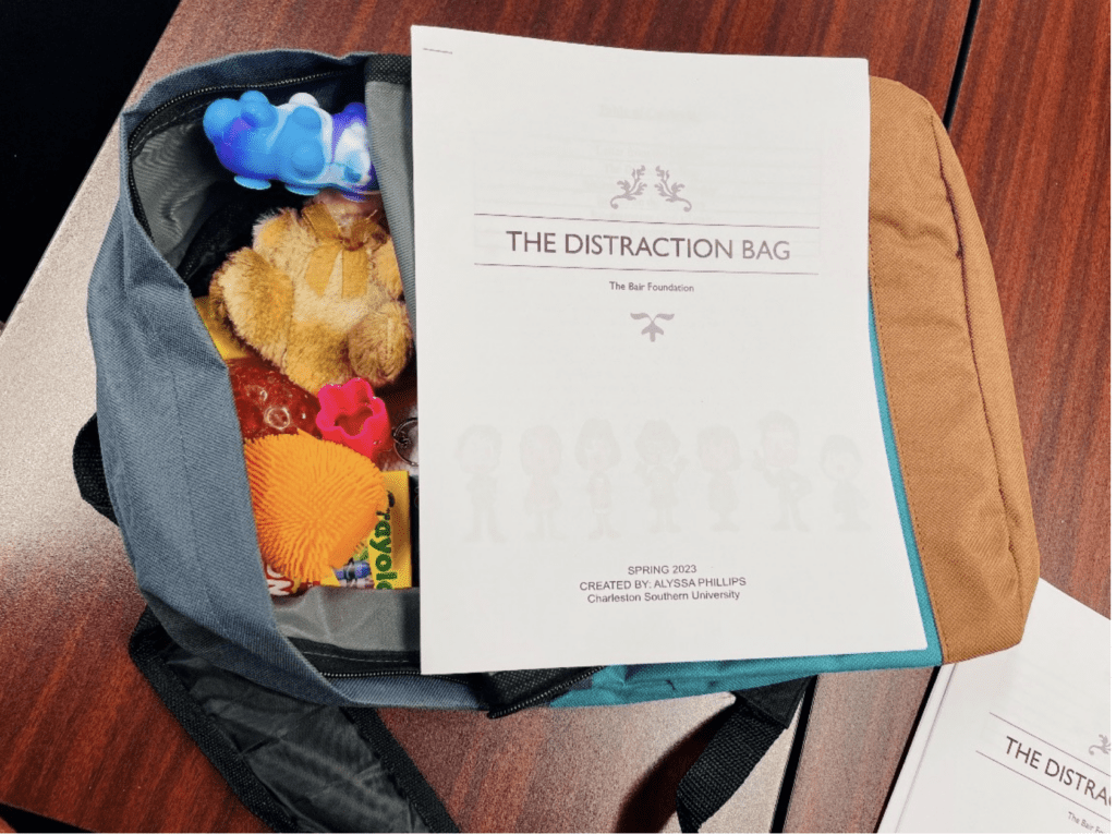 The Distraction bag