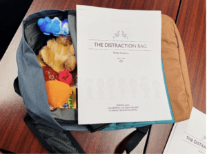 The Distraction bag