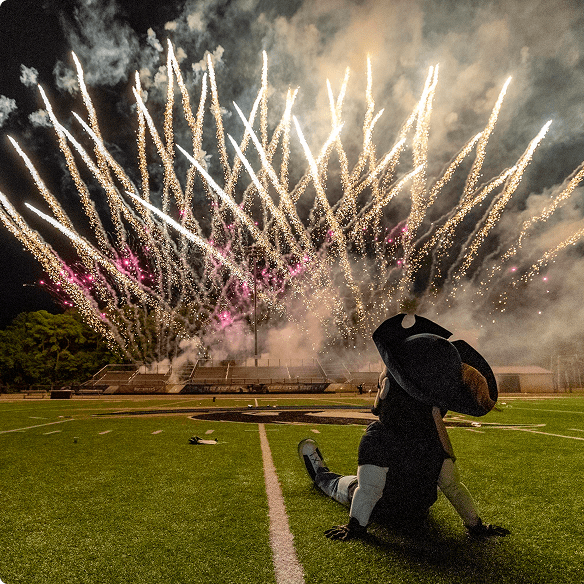 Fireworks display at night with Bucky the mascot looking on