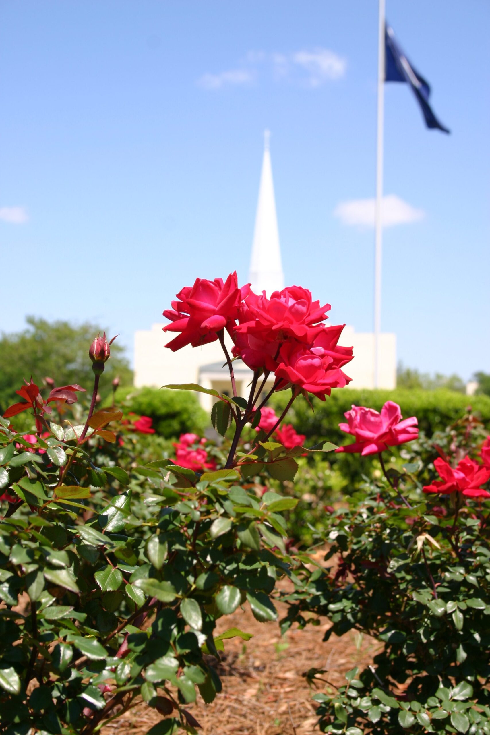 The Gilmore Garden was built with funds raised by the Women’s Council to honor longtime CSU employee Margaret Gilmore.